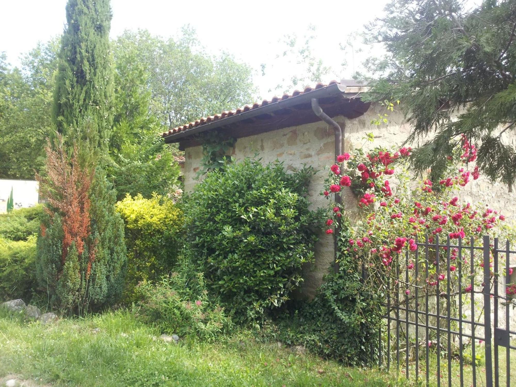 Villa Fattoria Il Praticino - Metato Castelfranco di Sopra Exterior foto